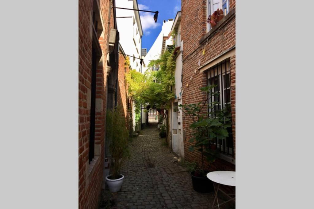 En Plein Coeur De Bruxelles. Superbe Duplex.A Voir! Ngoại thất bức ảnh