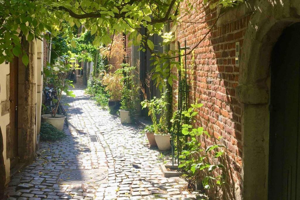 En Plein Coeur De Bruxelles. Superbe Duplex.A Voir! Ngoại thất bức ảnh